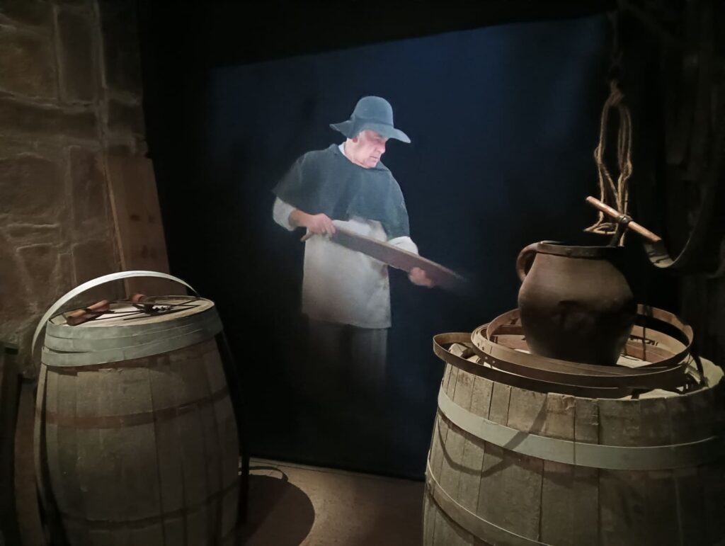 Cariñena Wine Museum imagen 2