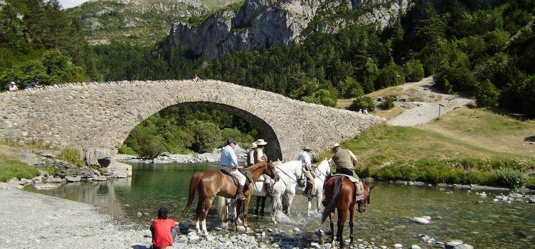 Caballos Casa Blas