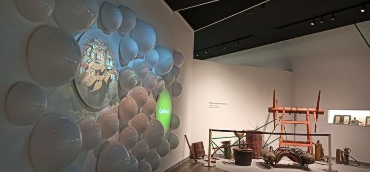 Cariñena Wine Museum