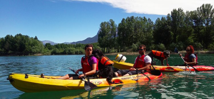 Paseos en canoa con mascotas/Nómadas del Pirineo