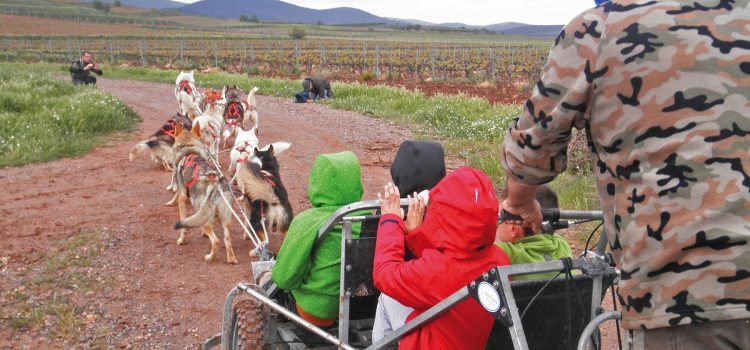 Enoaventúrate. Mushing entre viñedos