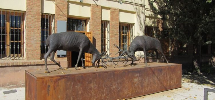 Centro de Interpretación de la Reserva de los Montes Universales de Orihuela del Tremedal