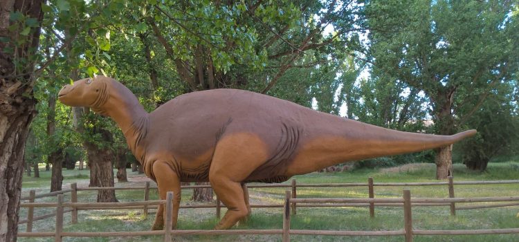 Museo Paleontológico de Galve