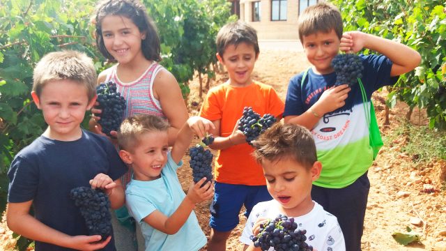 Domingos en Familia. Bodegas Care “Mini Club Care”