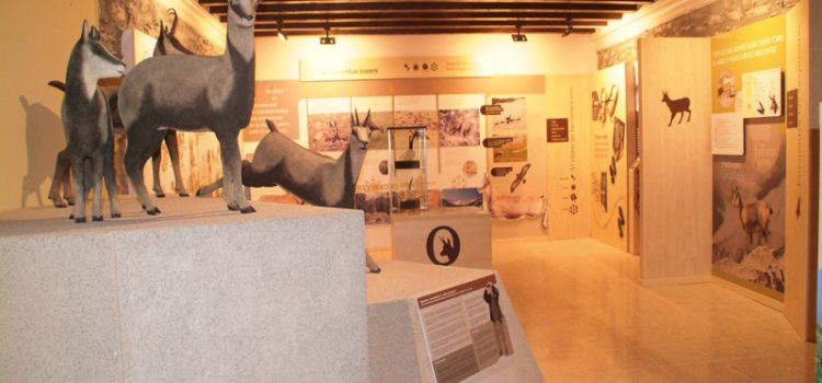 Museo del Sarrio en Castejón de Sos