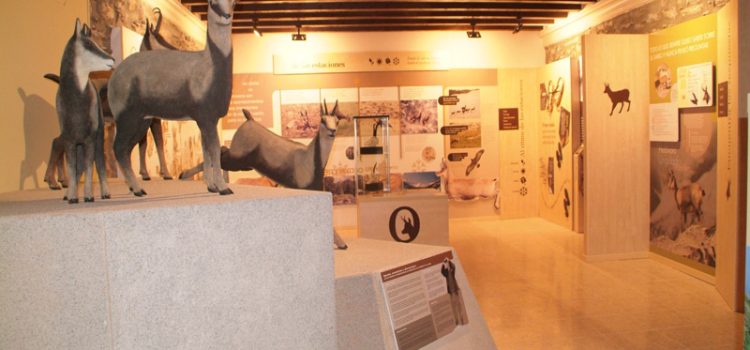 Museo del Sarrio en Castejón de Sos