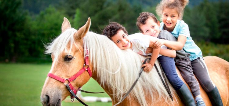 Caballos El Pesebre