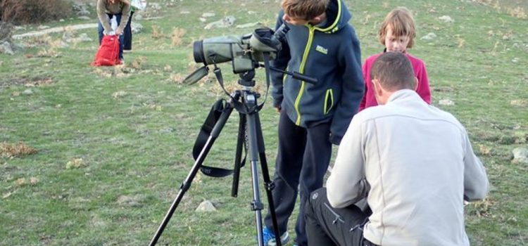 Quercus Aventura: Observa la Berrea en la Sierra de Albarracín